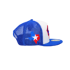 Texas Blue