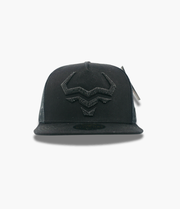 Blackout SteerN1 Blackout Steer