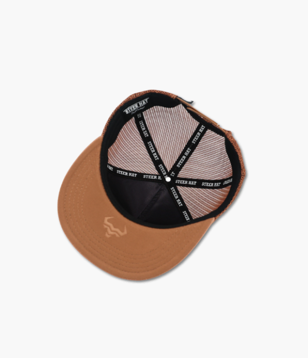 Bronco Blue4 Bronco Blue