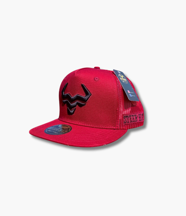 Bloody Steer 1 Bloody Steer